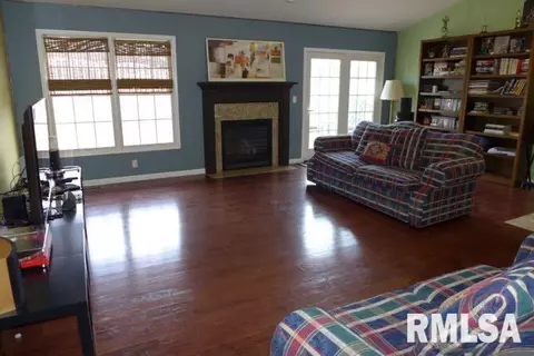 102 W Hillside Ct, Dunlap, IL 61525 photo 8