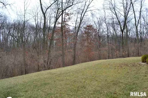 1012 S Copperpoint Dr, Dunlap, IL 61525 photo 34