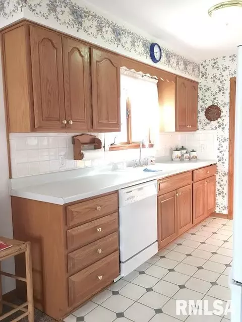 103 Heritage Ln, Delavan, IL 61734 photo 7