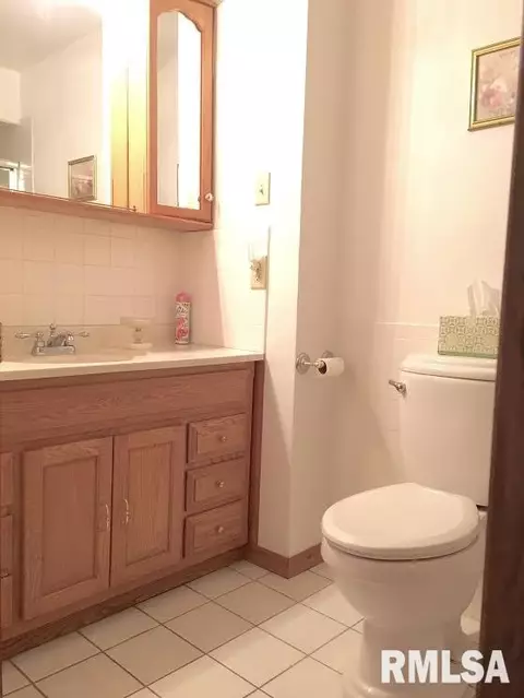 103 Heritage Ln, Delavan, IL 61734 photo 15