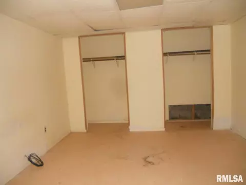 196 Feather Ln, Avon, IL 61415 photo 9
