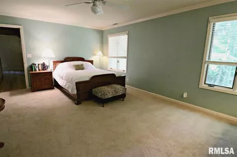 123 W Windflower Way, Dunlap, IL 61525 photo 22