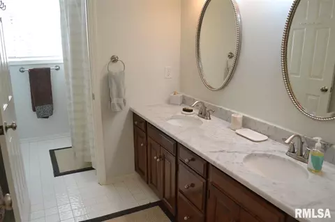 123 W Windflower Way, Dunlap, IL 61525 photo 29