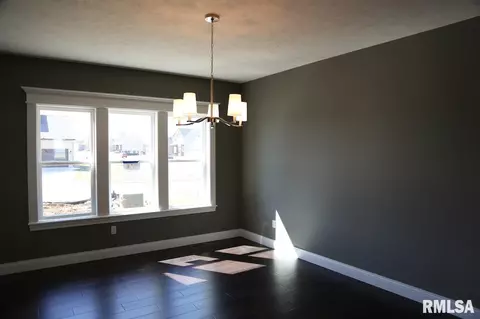 3307 W Boulder Pt, Dunlap, IL 61525 photo 8