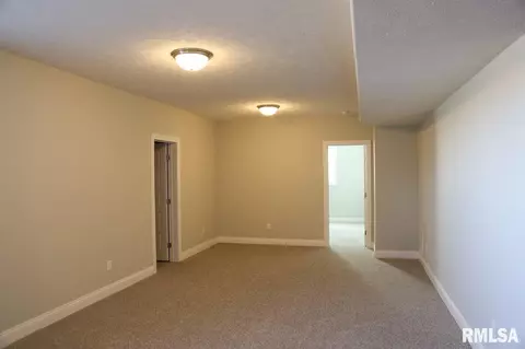 3307 W Boulder Pt, Dunlap, IL 61525 photo 24