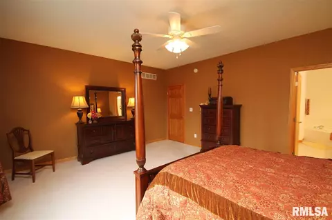 306 Windsor Dr, Germantown Hills, IL 61548 photo 16