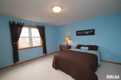 306 Windsor Dr, Germantown Hills, IL 61548 photo 23