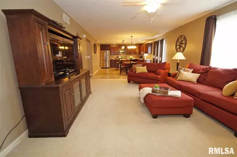 11424 N Casey Ct, Dunlap, IL 61525 photo 11