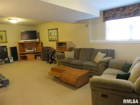 90 Diamond Pt, Morton, IL 61550 photo 26
