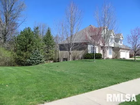 90 Diamond Pt, Morton, IL 61550 photo 29