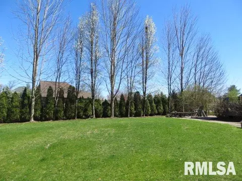 90 Diamond Pt, Morton, IL 61550 photo 33