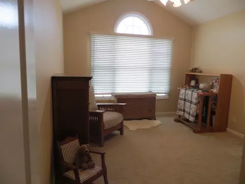 90 Diamond Pt, Morton, IL 61550 photo 15