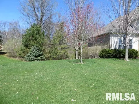 90 Diamond Pt, Morton, IL 61550 photo 30