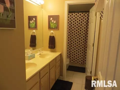 90 Diamond Pt, Morton, IL 61550 photo 19