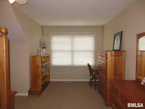 90 Diamond Pt, Morton, IL 61550 photo 17