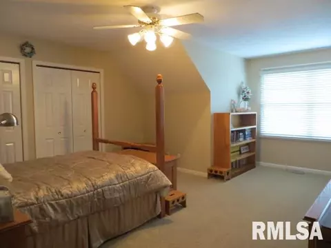 90 Diamond Pt, Morton, IL 61550 photo 16