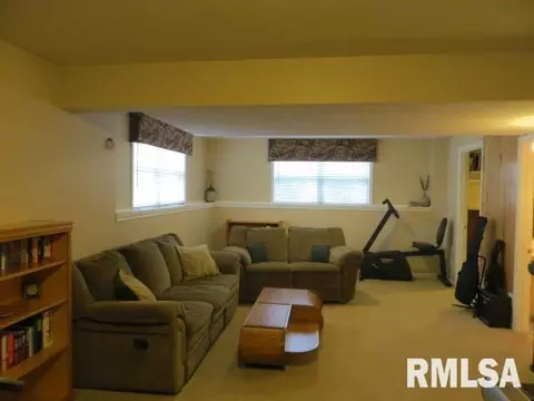 90 Diamond Pt, Morton, IL 61550 photo 25