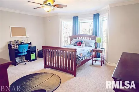 7545 E 1625 North Rd, Danvers, IL 61732 photo 19