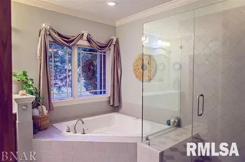 7545 E 1625 North Rd, Danvers, IL 61732 photo 24