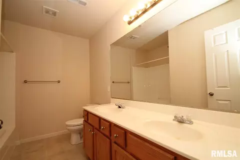 2402 W Marks Pl, Dunlap, IL 61525 photo 25