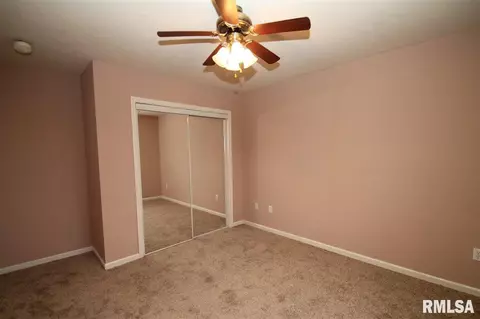 2402 W Marks Pl, Dunlap, IL 61525 photo 22