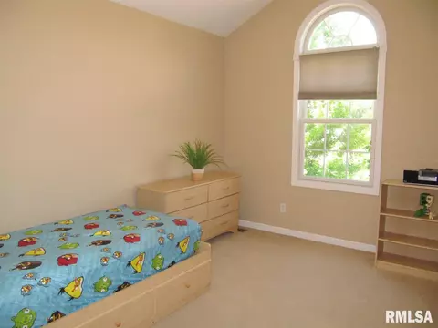 235 W Hillbrook Ct, Dunlap, IL 61525 photo 31