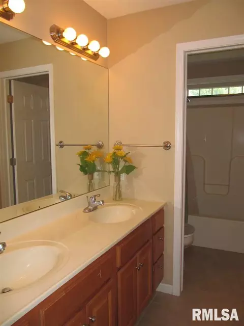 235 W Hillbrook Ct, Dunlap, IL 61525 photo 32