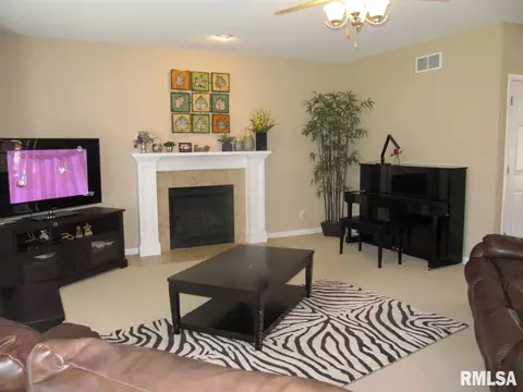 235 W Hillbrook Ct, Dunlap, IL 61525 photo 19