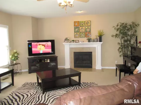 235 W Hillbrook Ct, Dunlap, IL 61525 photo 20