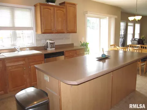 235 W Hillbrook Ct, Dunlap, IL 61525 photo 15