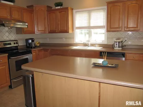 235 W Hillbrook Ct, Dunlap, IL 61525 photo 14