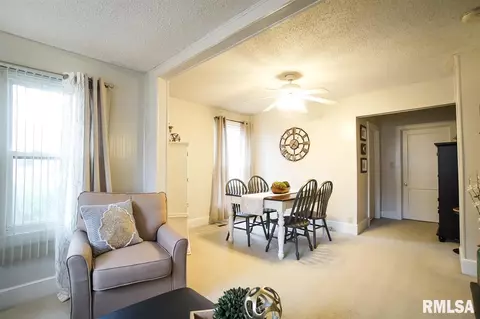 726 E Willcox Ave, Peoria, IL 61603 photo 10