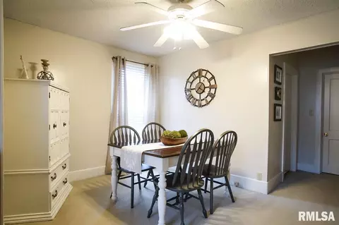 726 E Willcox Ave, Peoria, IL 61603 photo 13