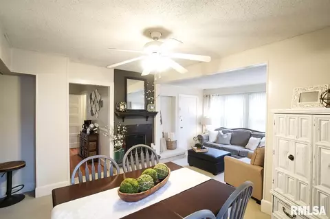 726 E Willcox Ave, Peoria, IL 61603 photo 5