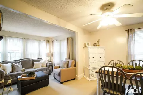 726 E Willcox Ave, Peoria, IL 61603 photo 11