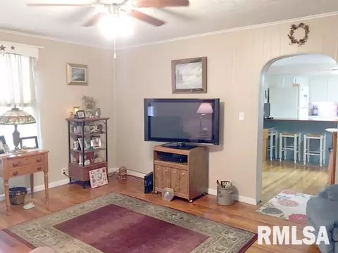 1022 E Locust, Canton, IL 61520 photo 6