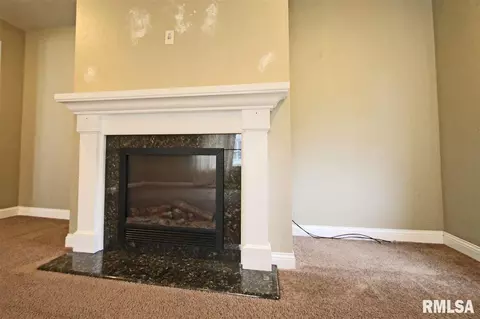 204 E Pine St, Dunlap, IL 61525 photo 16