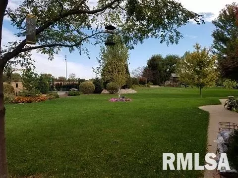 2021 W Liams Way, Dunlap, IL 61525 photo 2