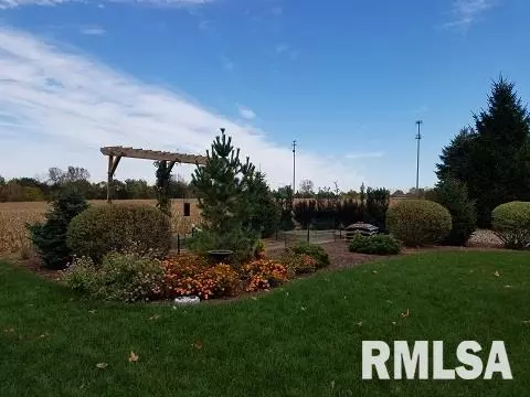2021 W Liams Way, Dunlap, IL 61525 photo 3