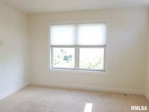 2021 W Liams Way, Dunlap, IL 61525 photo 22
