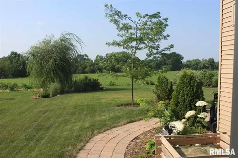 2021 W Liams Way, Dunlap, IL 61525 photo 35