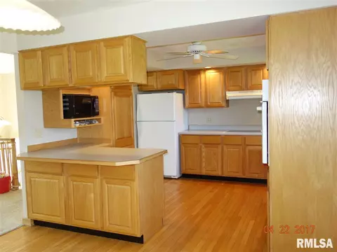 8151 N Blackbridge Rd, Edwards, IL 61528 photo 8
