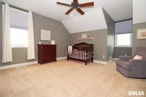 353 Carlock Rd, Carlock, IL 61725 photo 27