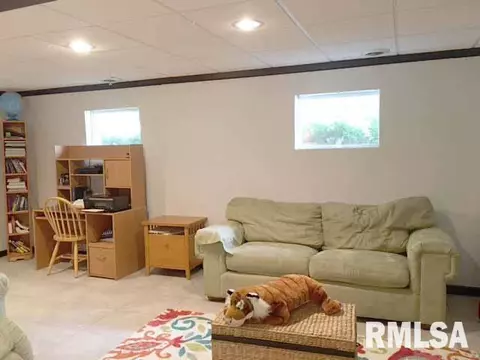 55 Aspen, Canton, IL 61520 photo 18