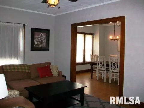 271 W Walnut St, Canton, IL 61520 photo 10