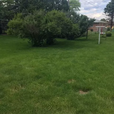 419 Edgewood St, Morton, IL 61550 photo 3