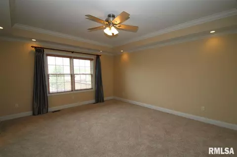 414 Cottingham Ln, Germantown Hills, IL 61548 photo 13