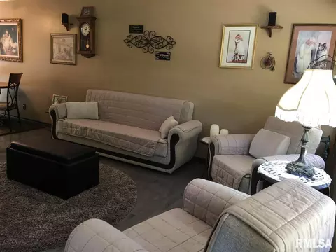 102 E Rio Dr, Washington, IL 61571 photo 12