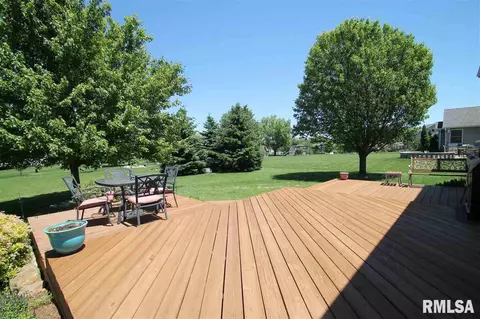 409 Windsor Dr, Germantown Hills, IL 61548 photo 29