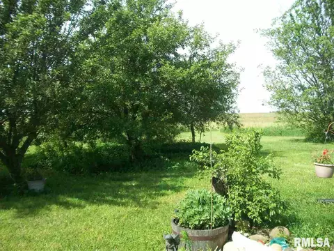 1297 County Road 1700 N, Lowpoint, IL 61545 photo 31